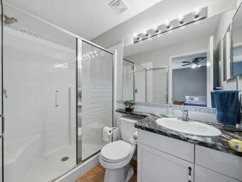 106 Springs Place Se, Airdrie, AB - Indoor Photo Showing Bathroom