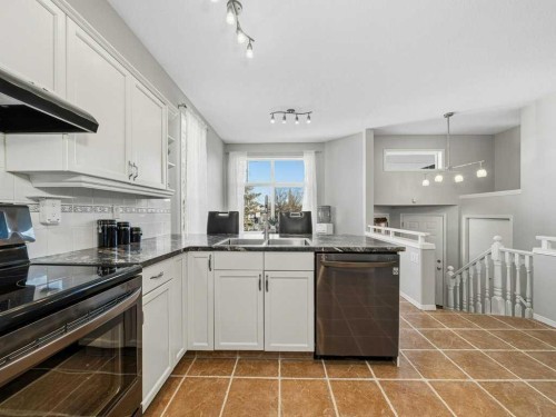 106 Springs Place Se, Airdrie, AB - Indoor Photo Showing Kitchen With Double Sink
