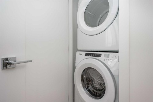 1406-111 Wolf Creek Drive Se, Calgary, AB - Indoor Photo Showing Laundry Room