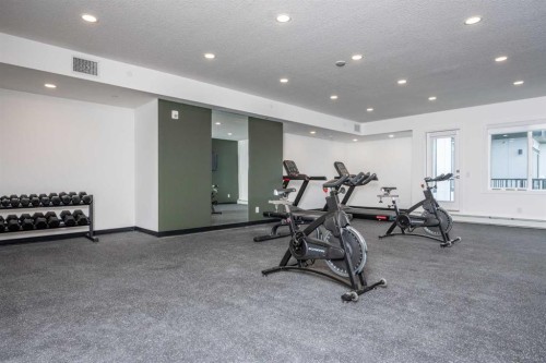 1406-111 Wolf Creek Drive Se, Calgary, AB - Indoor Photo Showing Gym Room
