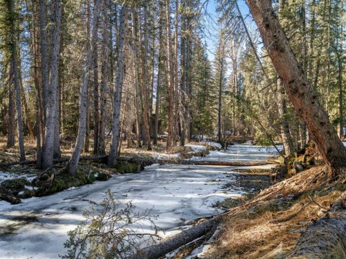 39 Echlin Drive, Bragg Creek, AB - Outdoor With View