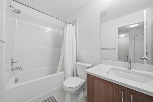 785 Southpoint Gate Sw, Airdrie, AB - Indoor Photo Showing Bathroom