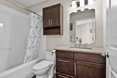 337 Douglas Glen Heath Se, Calgary, AB - Indoor Photo Showing Bathroom