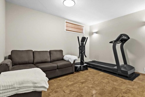 337 Douglas Glen Heath Se, Calgary, AB - Indoor Photo Showing Gym Room