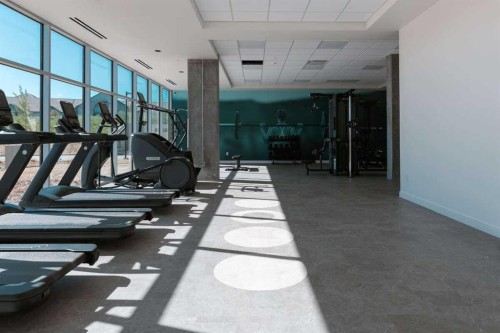 411-102 Scenic Drive North, Lethbridge, AB - Indoor Photo Showing Gym Room