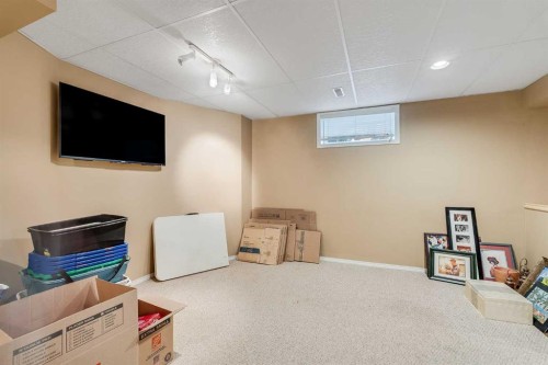 31 Inverness Grove Se, Calgary, AB - Indoor Photo Showing Basement