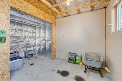 31 Inverness Grove Se, Calgary, AB - Indoor Photo Showing Basement