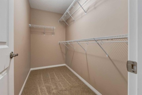 301 Auburn Meadows Boulevard Se, Calgary, AB - Indoor With Storage