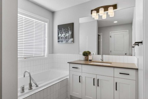78 Corner Meadows Row Ne, Calgary, AB - Indoor Photo Showing Bathroom