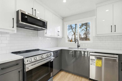 5610 Pensacola Crescent Se, Calgary, AB - Indoor Photo Showing Kitchen With Stainless Steel Kitchen With Double Sink With Upgraded Kitchen