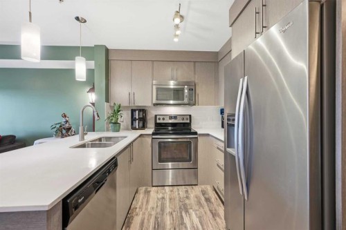 7206-302 Skyview Ranch Drive Ne, Calgary, AB - Indoor Photo Showing Kitchen With Double Sink With Upgraded Kitchen