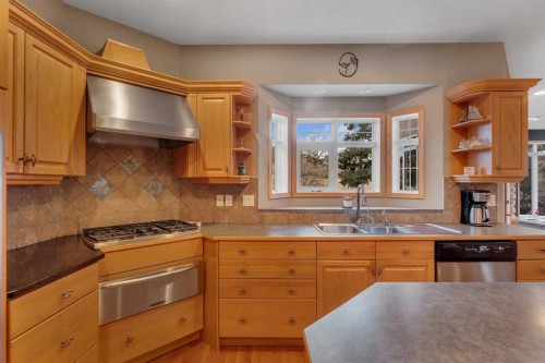 15 Rosery Drive Nw, Calgary, AB - Indoor Photo Showing Kitchen With Double Sink