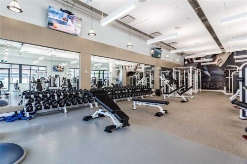 124 Mahogany Centre Se, Calgary, AB - Indoor Photo Showing Gym Room