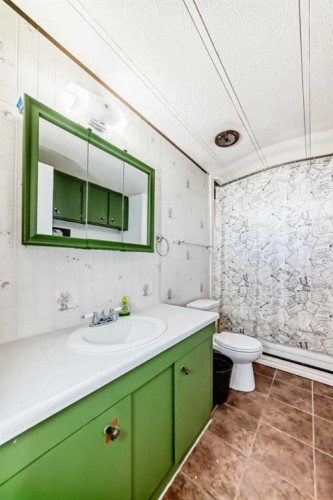 14 Birch Close, Olds, AB - Indoor Photo Showing Bathroom