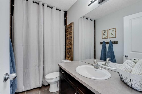 113 Copperpond Bay Se, Calgary, AB - Indoor Photo Showing Bathroom