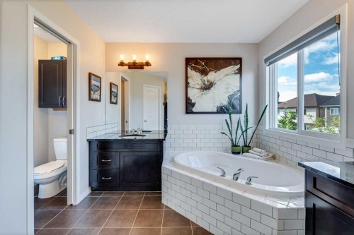 113 Copperpond Bay Se, Calgary, AB - Indoor Photo Showing Bathroom