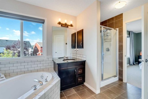 113 Copperpond Bay Se, Calgary, AB - Indoor Photo Showing Bathroom