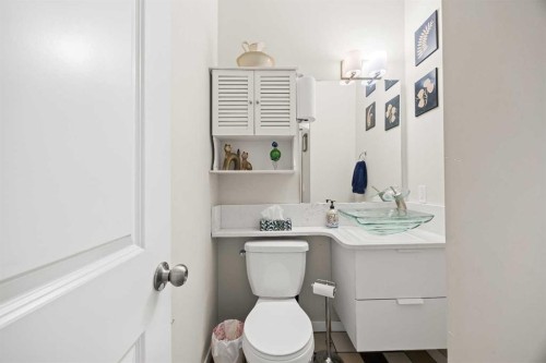 319 Taralake Way Ne, Calgary, AB - Indoor Photo Showing Bathroom