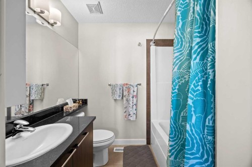 319 Taralake Way Ne, Calgary, AB - Indoor Photo Showing Bathroom