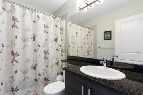1403 Jumping Pound Common, Cochrane, AB - Indoor Photo Showing Bathroom