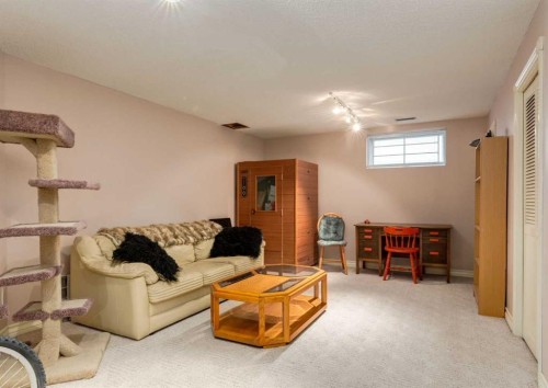 164 Hawksbrow Drive Nw, Calgary, AB - Indoor Photo Showing Basement