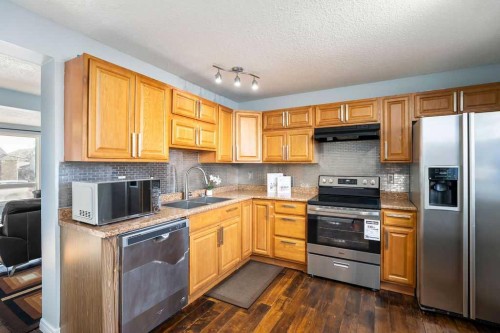 74 Castledale Way Ne, Calgary, AB - Indoor Photo Showing Kitchen With Double Sink