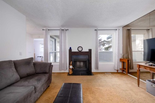 5-3200 60 Street, Calgary, AB - Indoor Photo Showing Living Room With Fireplace
