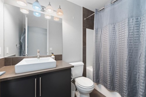 201-414 Meredith Road Ne, Calgary, AB - Indoor Photo Showing Bathroom