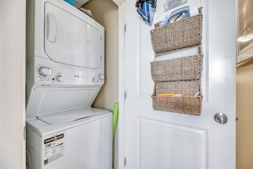25-300 Marina Drive, Chestermere, AB - Indoor Photo Showing Laundry Room