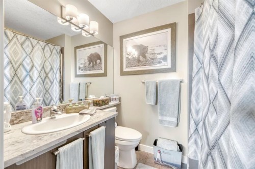 25-300 Marina Drive, Chestermere, AB - Indoor Photo Showing Bathroom