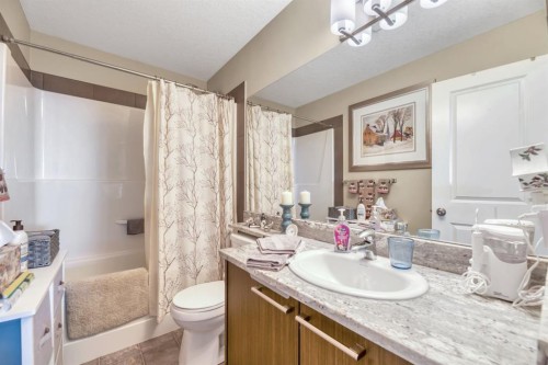 25-300 Marina Drive, Chestermere, AB - Indoor Photo Showing Bathroom