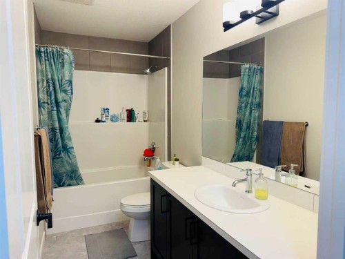 1509 Bayview Point Sw, Airdrie, AB - Indoor Photo Showing Bathroom