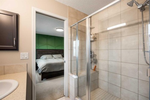 526 New Brighton Drive Se, Calgary, AB - Indoor Photo Showing Bathroom