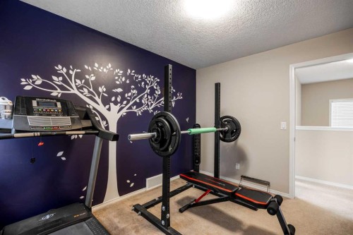 526 New Brighton Drive Se, Calgary, AB - Indoor Photo Showing Gym Room