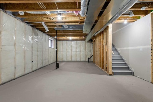 117 Bridgeport Gate, Chestermere, AB - Indoor Photo Showing Basement