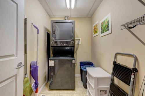 413-15 Everstone Drive Sw, Calgary, AB - Indoor Photo Showing Laundry Room