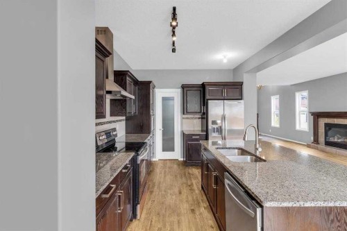66 Skyview Shores Terrace Ne, Calgary, AB - Indoor Photo Showing Kitchen With Fireplace With Stainless Steel Kitchen With Double Sink With Upgraded Kitchen