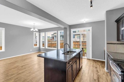 66 Skyview Shores Terrace Ne, Calgary, AB - Indoor Photo Showing Kitchen With Double Sink