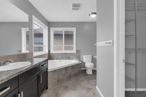 66 Skyview Shores Terrace Ne, Calgary, AB - Indoor Photo Showing Bathroom