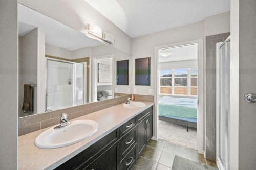 112 Copperpond Park, Calgary, AB - Indoor Photo Showing Bathroom