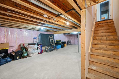 112 Copperpond Park, Calgary, AB - Indoor Photo Showing Basement