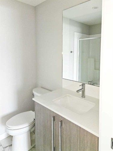2413-111 Wolf Creek Drive Se, Calgary, AB - Indoor Photo Showing Bathroom