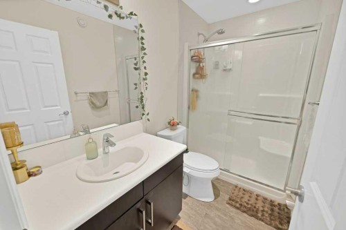 122 Kingfisher Crescent Se, Airdrie, AB - Indoor Photo Showing Bathroom