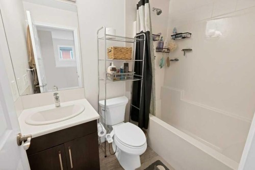 122 Kingfisher Crescent Se, Airdrie, AB - Indoor Photo Showing Bathroom