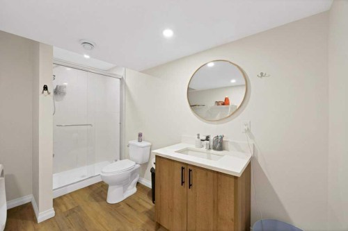 122 Kingfisher Crescent Se, Airdrie, AB - Indoor Photo Showing Bathroom