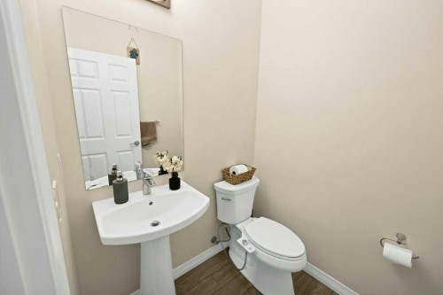 122 Kingfisher Crescent Se, Airdrie, AB - Indoor Photo Showing Bathroom