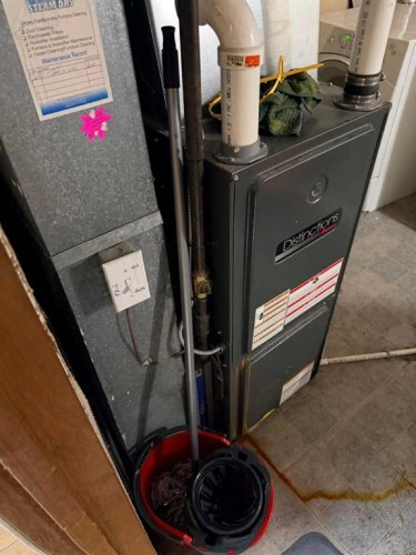 3802 44 Avenue Ne, Calgary, AB - Indoor Photo Showing Basement
