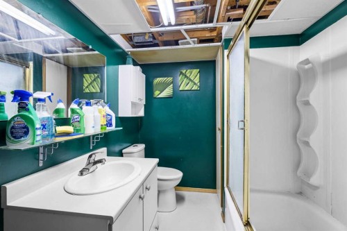 3236 Doverville Crescent Se, Calgary, AB - Indoor Photo Showing Bathroom