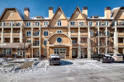 204-10 Mahogany Mews SE Calgary, AB T3M 2R1