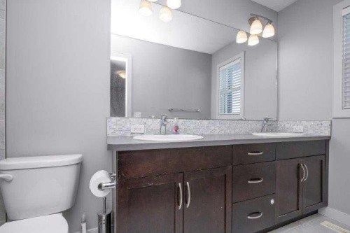 226 Redstone Drive Ne, Calgary, AB - Indoor Photo Showing Bathroom